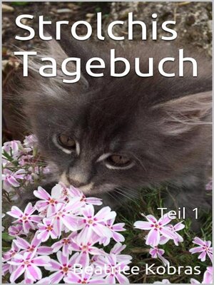 cover image of Strolchis Tagebuch, Teil 1